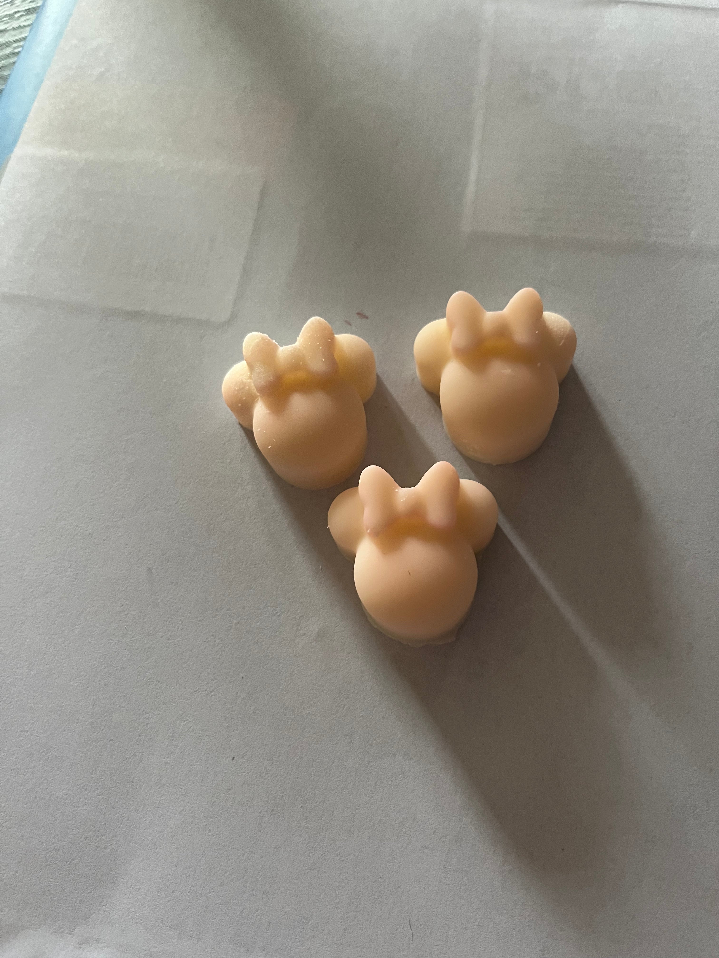 Mickey & mini wax melts 🐭